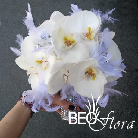 Beoflora bidermajer bela orhideja perje